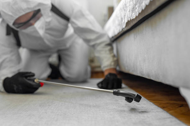 Professional Pest Control technician working in Logan County County, KS
